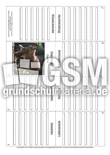 Faltbuch-Luchs.pdf